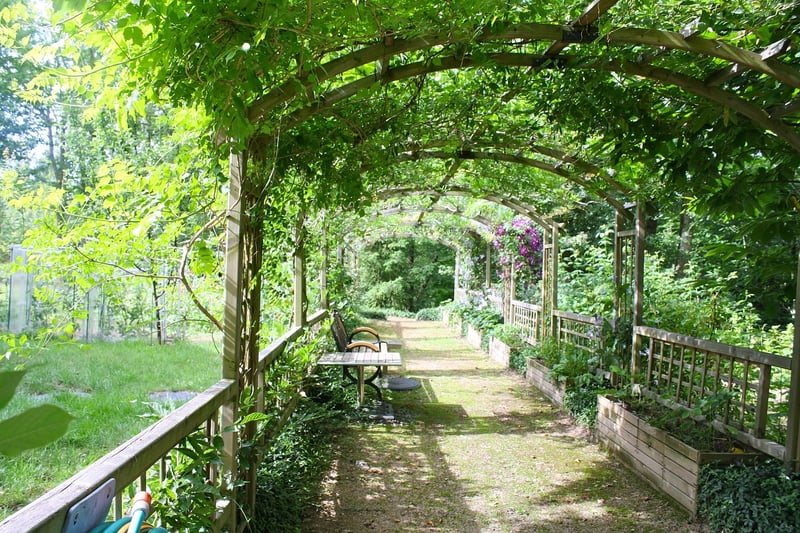 Pergola