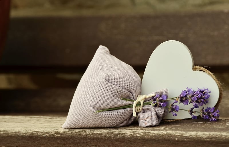 Summer Lavender